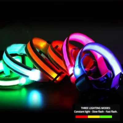 Night Safe USB Rechargeable Dog Collar Night Safe USB Rechargeable Reflective LED Dog Collar