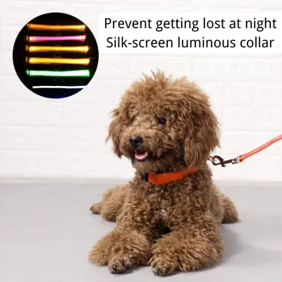 Night Safe USB Rechargeable Dog Collar Night Safe USB Rechargeable Reflective LED Dog Collar