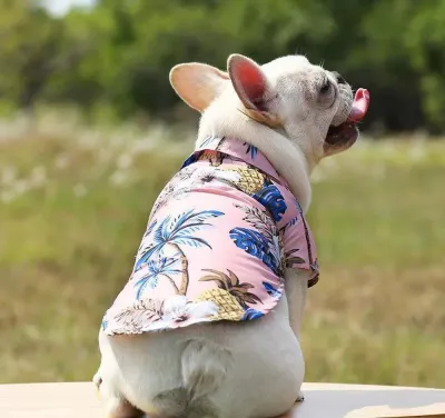 dog beach shirt (5)_1 dog beach shirt bulk buy