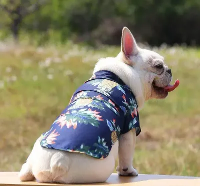 dog beach shirt (2)_2 dog beach shirt wholesale