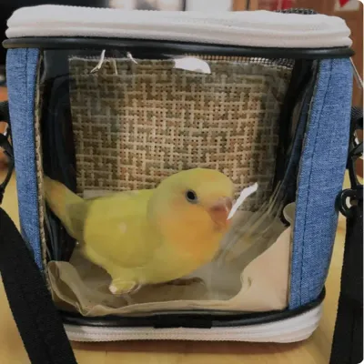 Breathable Pet Carrier Bag, Diagonal Cross Body Birdcage, Reptile Cage, Transparent Mesh Pet Travel Carrier Breathable Small Carrier Bag for Birds and Small Animals