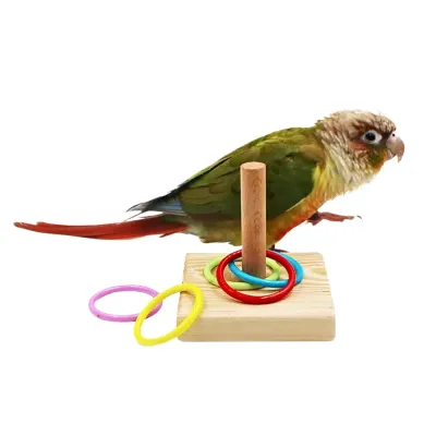Bird Toys Bird Training Ring Toy Parrot Educational Toys Display Educational Training Ring Toy for Birds