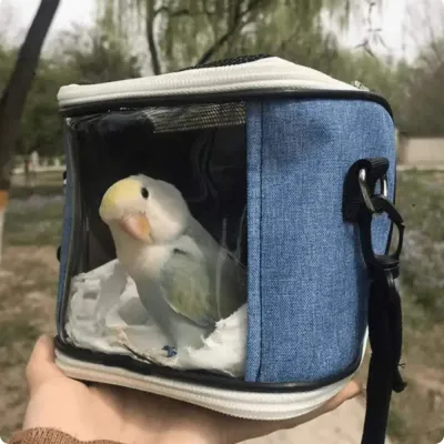 Breathable Pet Carrier Bag, Diagonal Cross Body Birdcage, Reptile Cage, Transparent Mesh Pet Travel Carrier Model Breathable Small Carrier Bag for Birds and Small Animals