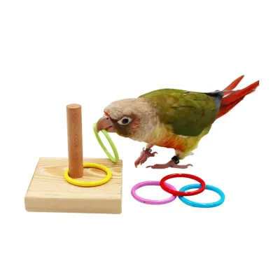 Bird Toys Bird Training Ring Toy Parrot Educational Toys Main Educational Training Ring Toy for Birds