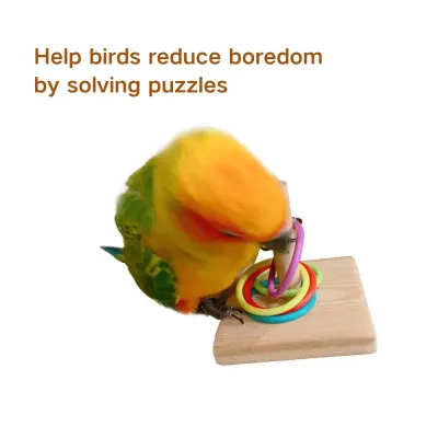 Bird Toys Bird Training Ring Toy Parrot Educational Toys Model Educational Training Ring Toy for Birds