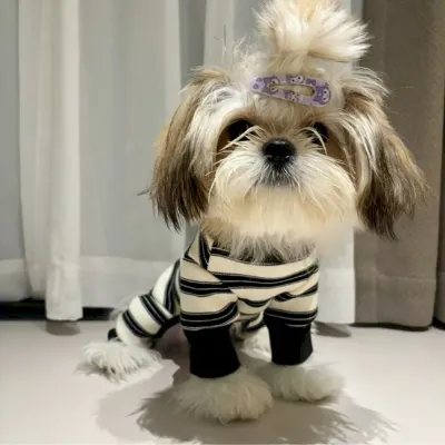 Warm Pet Winter Outfit Warm Pet Winter Outfit