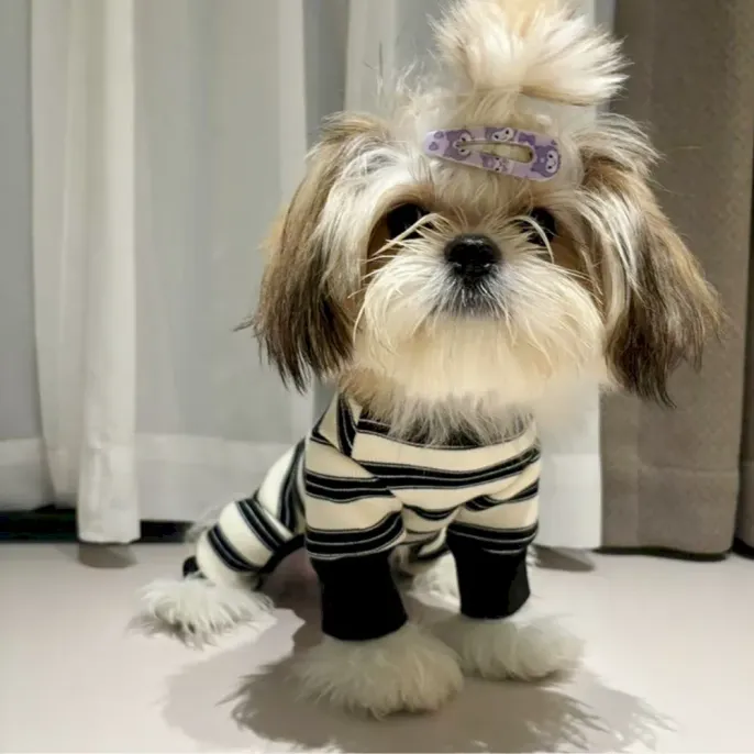 Warm Pet Winter Outfit