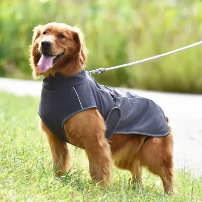Dog Jacket for Winter Protection