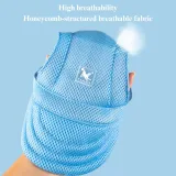 Pet Hat for Fashionable Dogs