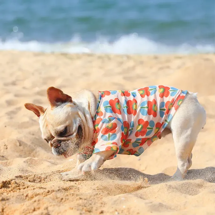 Summer Breathable Mesh Cooling T-Shirt for Dogs (6) Keeps pets comfortable and stylish in warm weather.