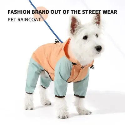 Rainy Day Dog Gear