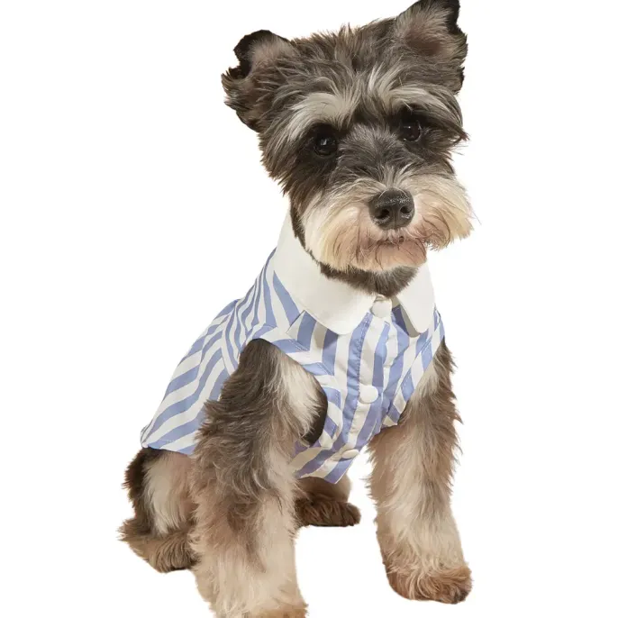 Lightweight and breathable summer shirt for pets.