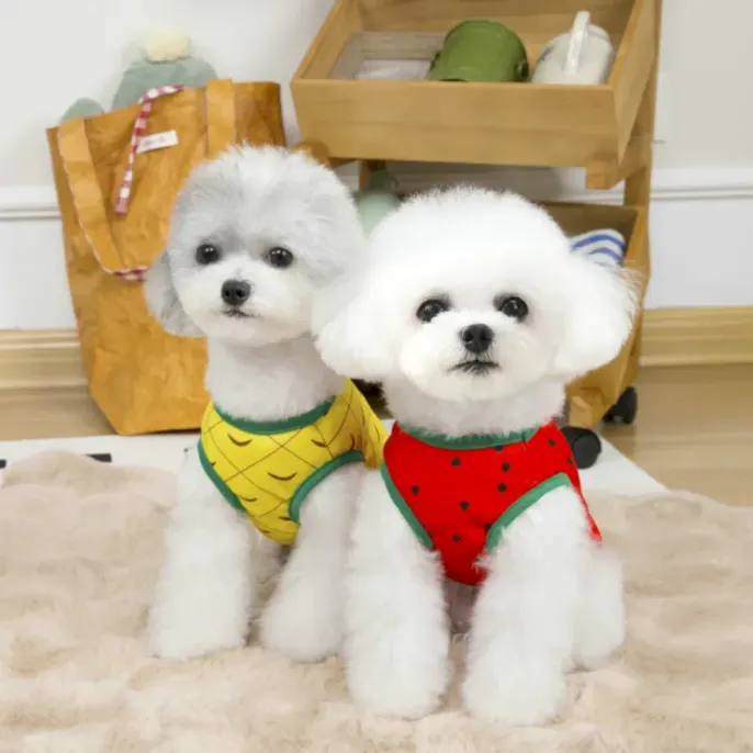 watermelon dog clothing wholesale watermelon dog clothing wholesale