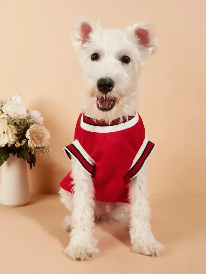 Basketball Jersey Pet Mesh Summer Vest for Dogs (17) Comfortable and breathable summer pet clothing for active dogs.