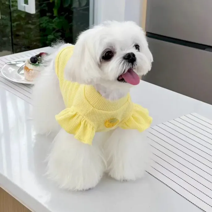 yellow Printed Waffle Dog Short Sleeve yellow Printed Waffle Dog Short Sleeve