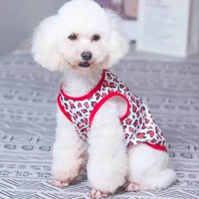 Made from lightweight materials that won’t weigh pets down.