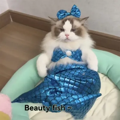pet costume props