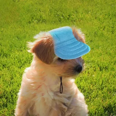 Outdoor Sun Hat Pet Hat for Small Breeds