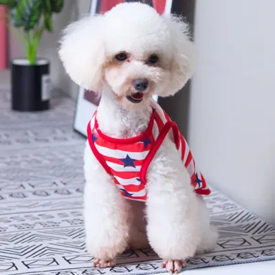 Soft, breathable fabric to keep pets cool during hot days.