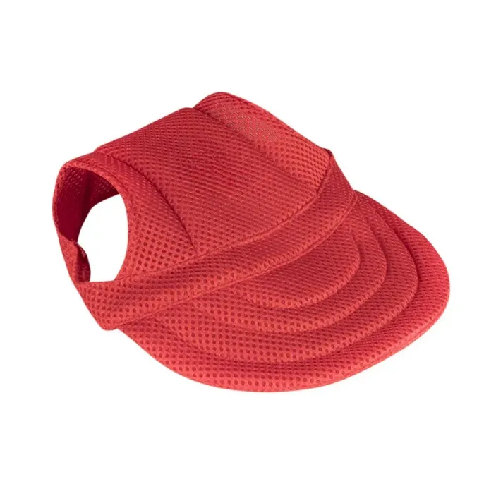 Pet Hat for Modern Design