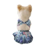 dog summer beach outfit dog summer beach outfit