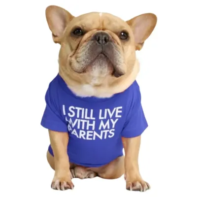 blue Letter printed bulldog t-shirt blue Letter printed bulldog t-shirt