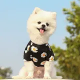 summer dog outfits