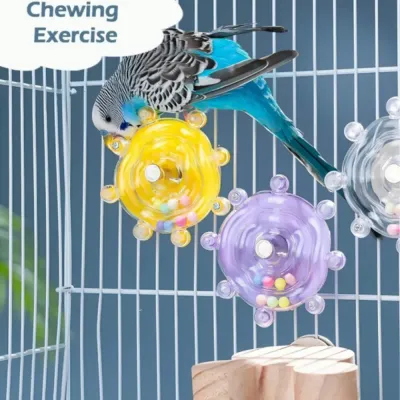Bird Toy, Bird Bite And Decompression Toy, With Randomly Colored Beads, Multifunctional Hanging Bird Toy, Parrot Toy Spinning Bird Toy with Randomly Colored Beads