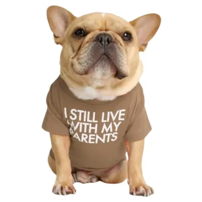 khaki Letter printed bulldog t-shirt khaki Letter printed bulldog t-shirt