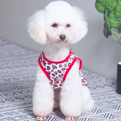 Easy-to-wear vest design that pets will love to sport.