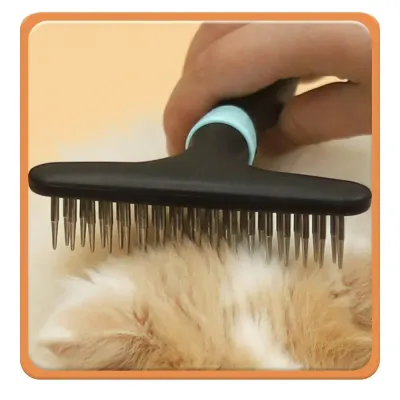 Stainless Steel Dog Brush Stainless Steel Dog Brush