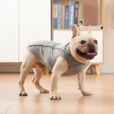 D-Ring for Leash Attachment
