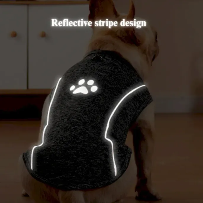 High-Quality Pet Supplies