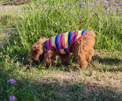 Soft, breathable fabric to keep pets cool and comfortable during warmer seasons.
