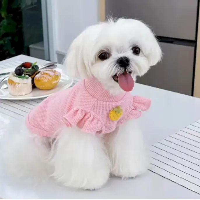 pink Printed Waffle Dog Short Sleeve pink Printed Waffle Dog Short Sleeve