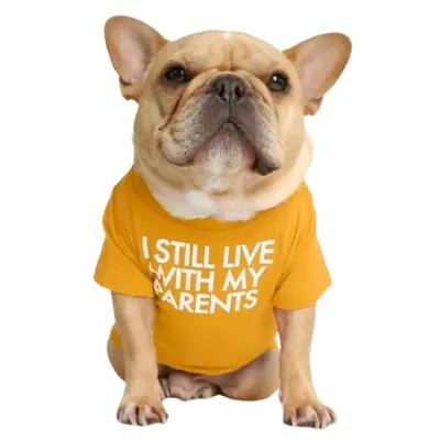orange Letter printed bulldog t-shirt orange Letter printed bulldog t-shirt