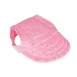 Fashionable Dog Accessories