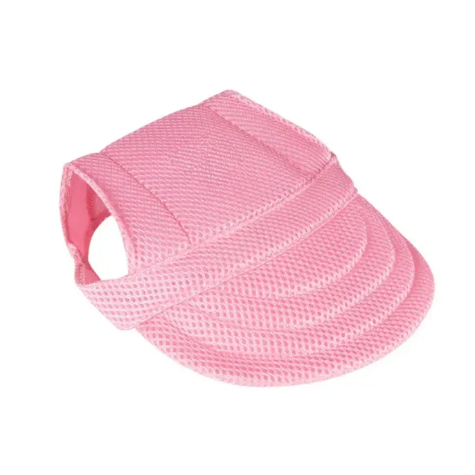 Fashionable Dog Accessories