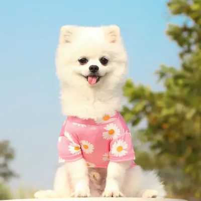 summer dog outfits bulk summer dog outfits bulk