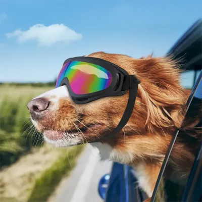 Outdoor Dog Eyewear PVC Frame Sunglasses