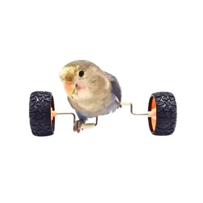 Bird Intelligence Training Toy, Balance Training Excercise Wheel Set Toys for Pet Birds Parrots for Lovebird Balance Car, Bird Intelligence Training Toy Main Skateboard Roller Training Toy for Medium and Small Birds