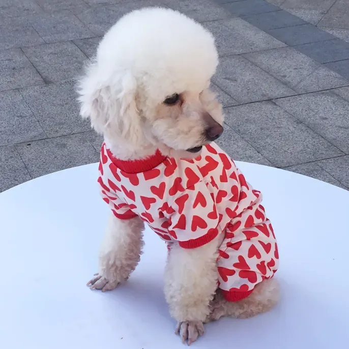 Printed Pet Outfit