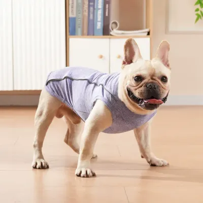 Teddy Pomeranian Bichon Coat Summer Pet Safety Gear