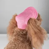 Pet Hat for Summer Outings