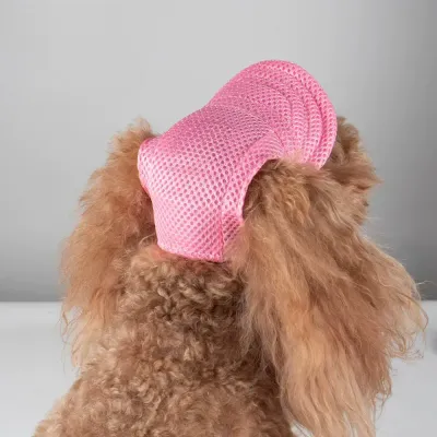 Breathable Dog Hat Pet Hat for Summer Outings
