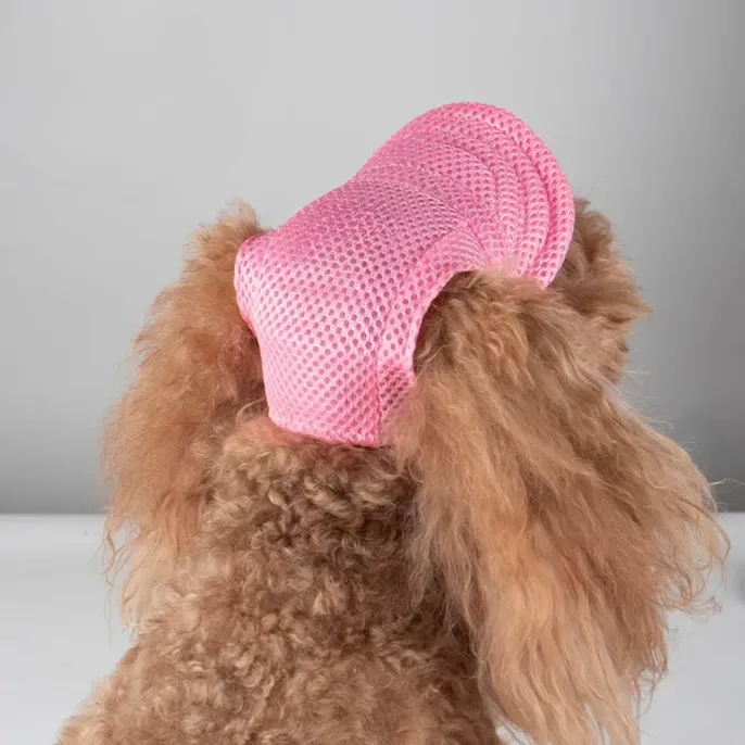 Pet Hat for Summer Outings