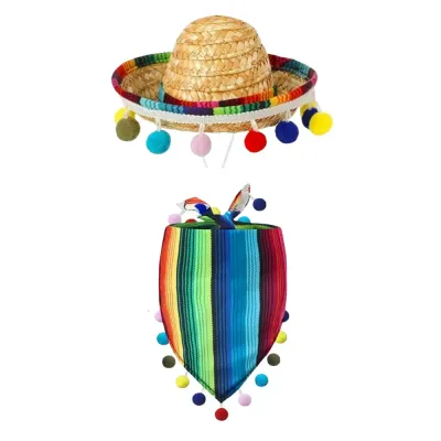 Pet Accessories for Everyday Wear