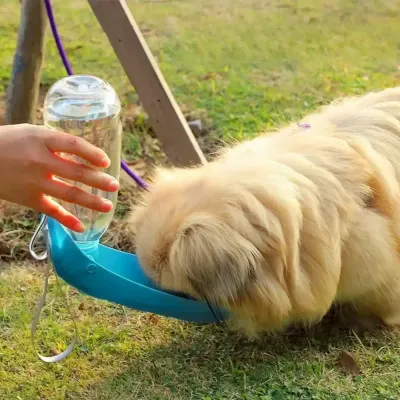 Portable Dog Water Bottle Wholesaler