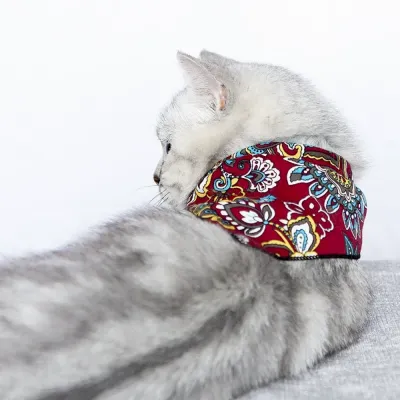 Unique Pet Accessories