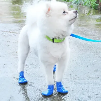 rubber anti-slip dog rain boots rubber anti-slip dog rain boots